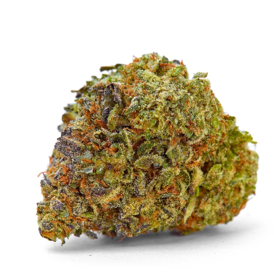 Gelato King