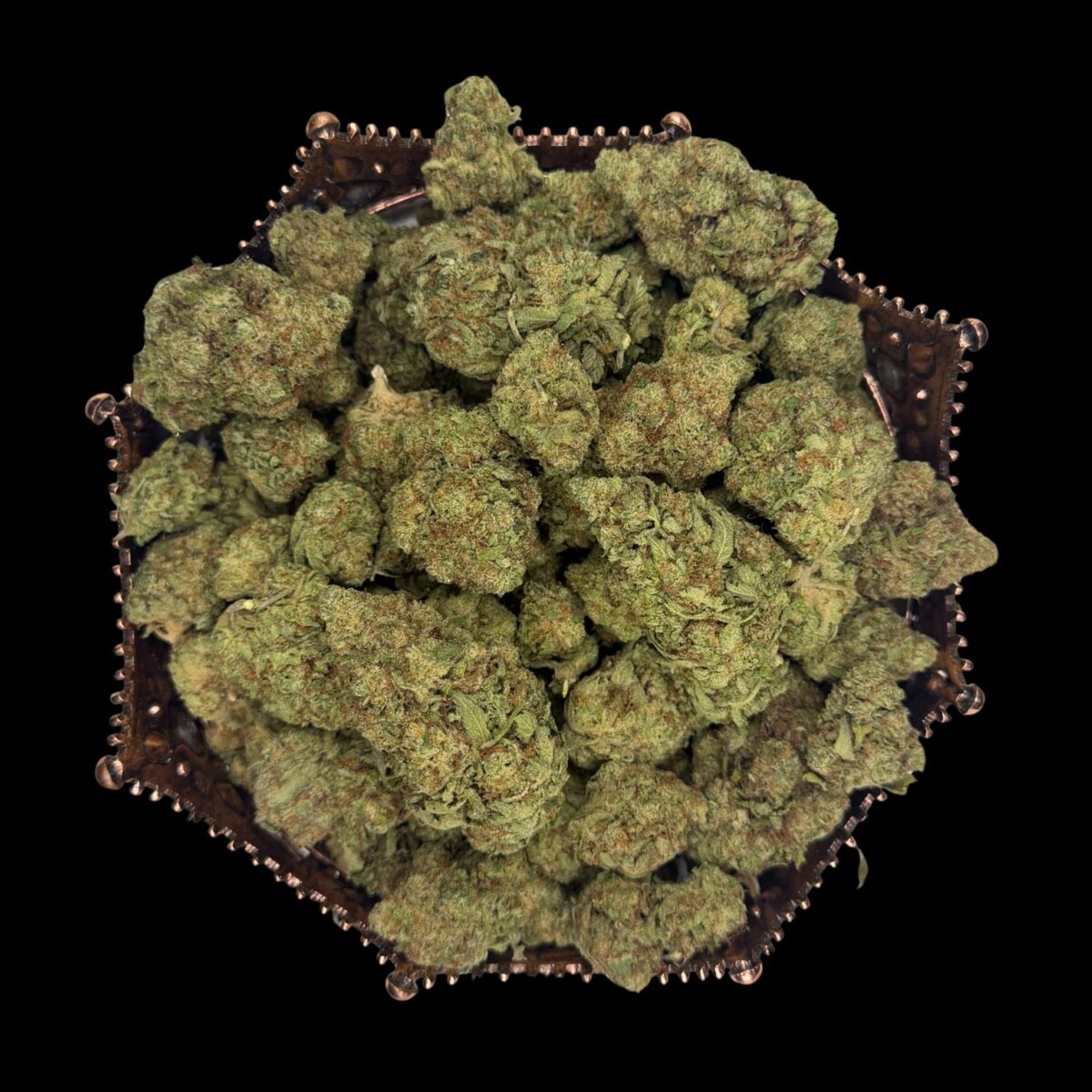 Gorilla Glue