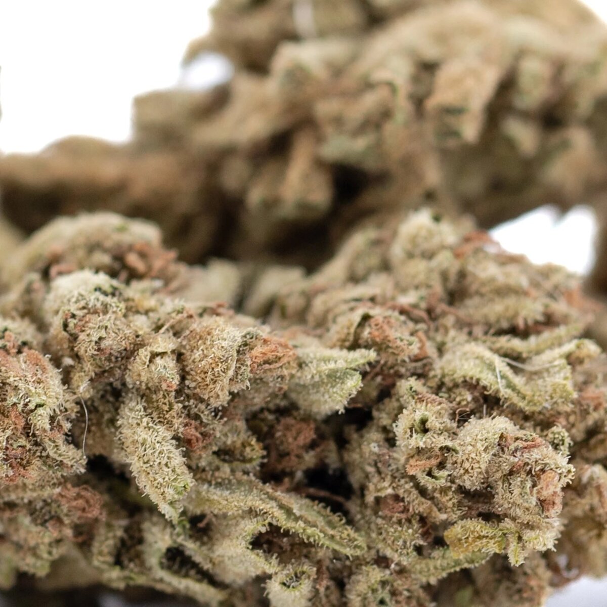 Sour Diesel